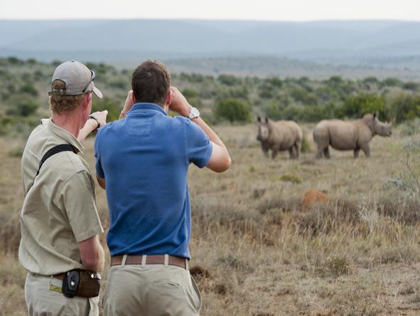 Kwandwe Ecca Lodge - Wildlife 